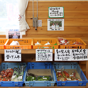 なんぶふるさと物産館 店内