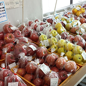 なんぶふるさと物産館 八戸駅前店 りんご