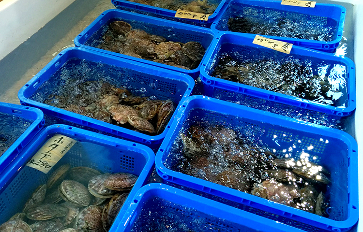 産直ポスレジ設置風景